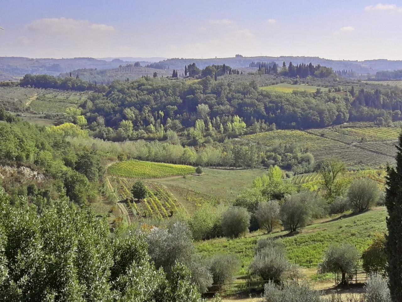 Agriturismo Villa Gorgognano Certaldo Exterior foto